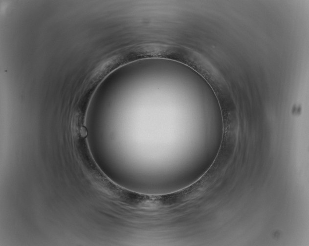 X0000097460119200802221222