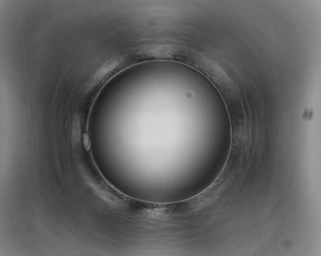 X0000097460120200802221222