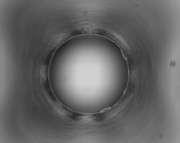 X0000097460121200802221222