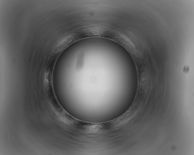 X0000097460122200802221222