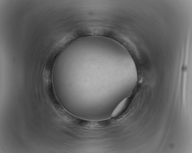 X0000097460123200802221222