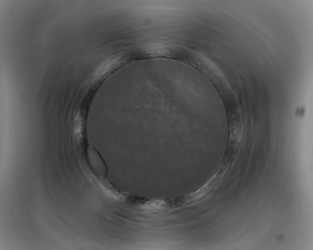 X0000097460124200802221222