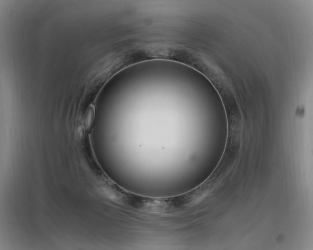 X0000097460125200802221222