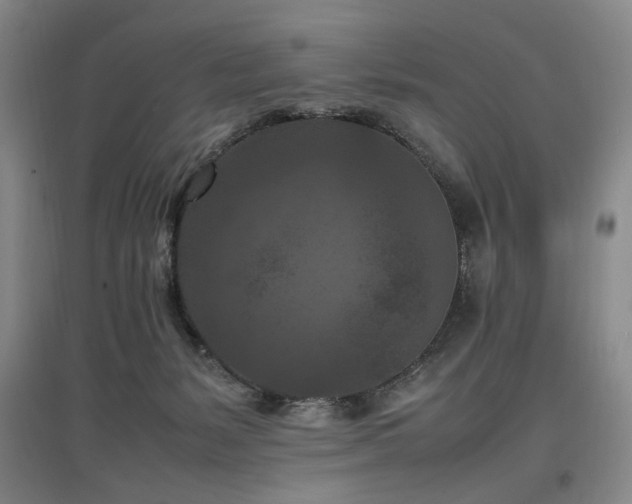 X0000097460127200802221222