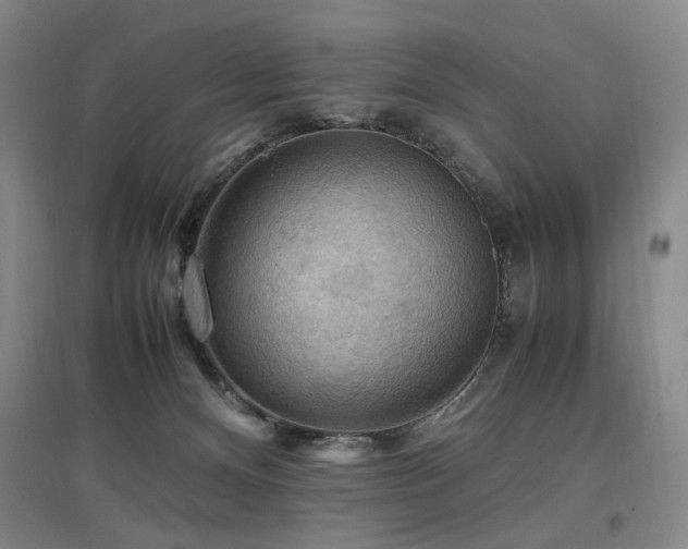 X0000097460128200802221222