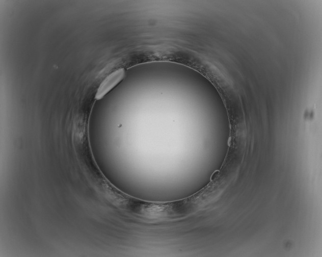 X0000097460129200802221222