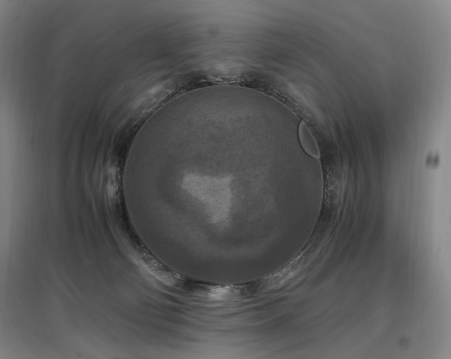 X0000097460130200802221222