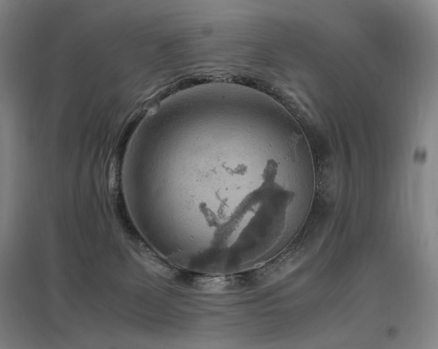X0000097460131200802221222
