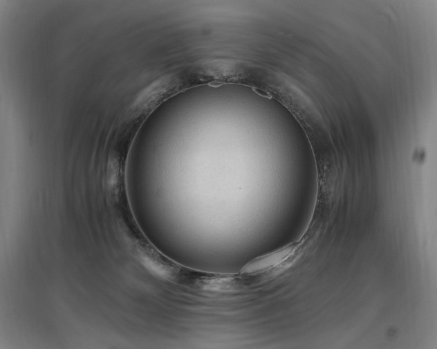 X0000097460132200802221222