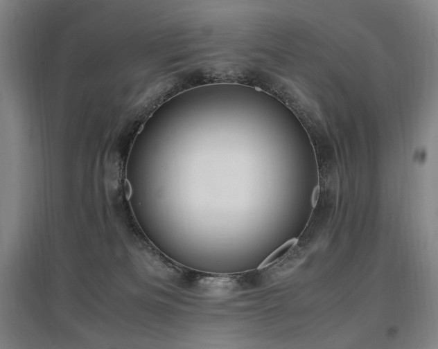 X0000097460133200802221222