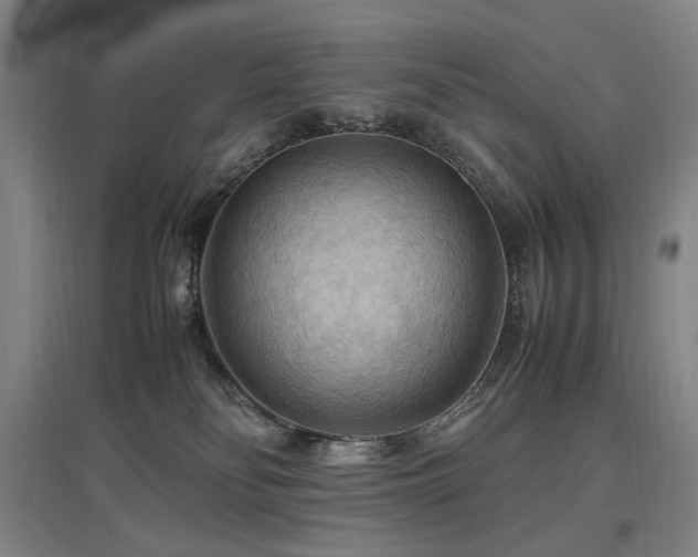 X0000097460134200802221222