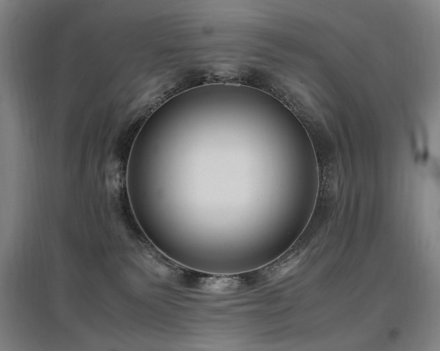 X0000097460135200802221222