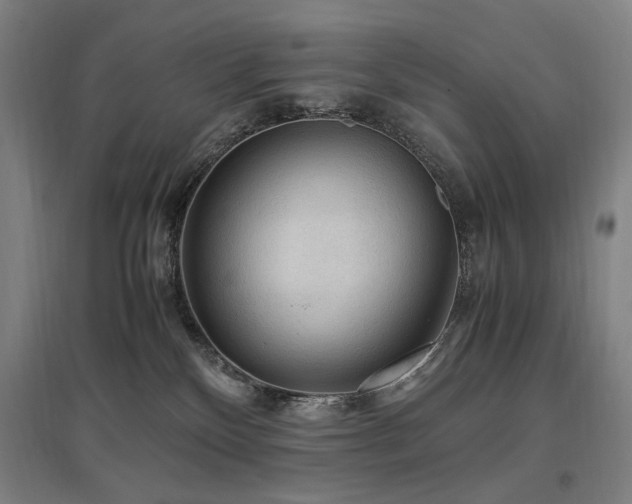 X0000097460136200802221222