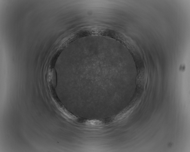 X0000097460137200802221222