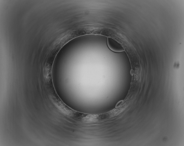 X0000097460138200802221222