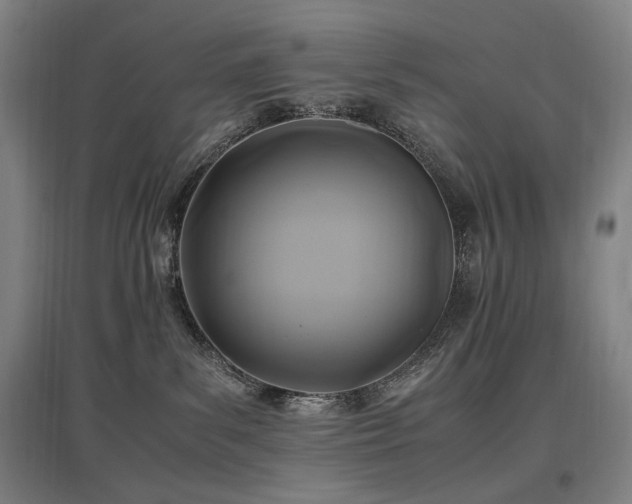 X0000097460139200802221222