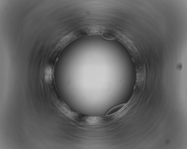 X0000097460142200802221222