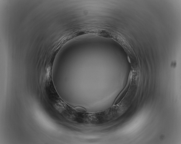 X0000097460143200802221222