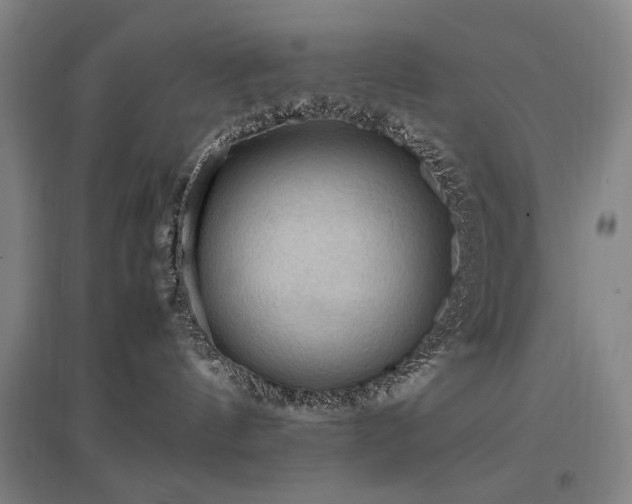 X0000097460144200802221222