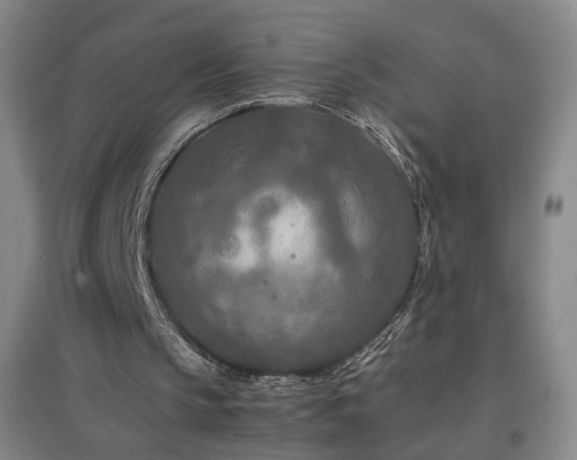 X0000097460145200802221221