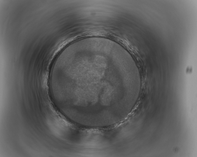 X0000097460146200802221221