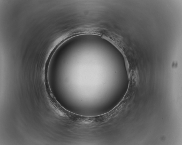 X0000097460148200802221221