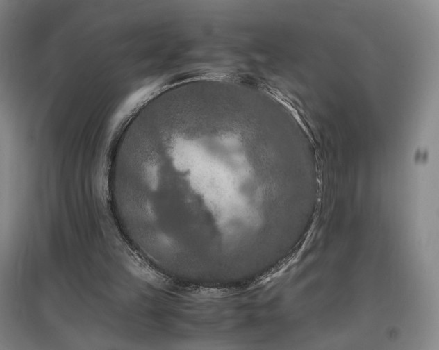 X0000097460149200802221221