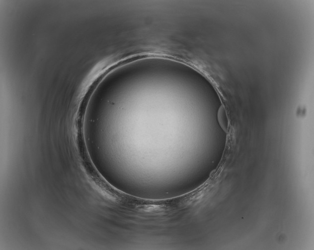 X0000097460151200802221221