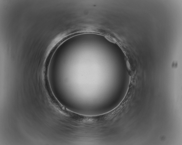 X0000097460152200802221221