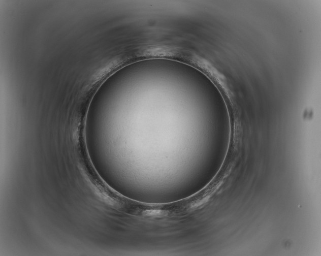 X0000097460153200802221221
