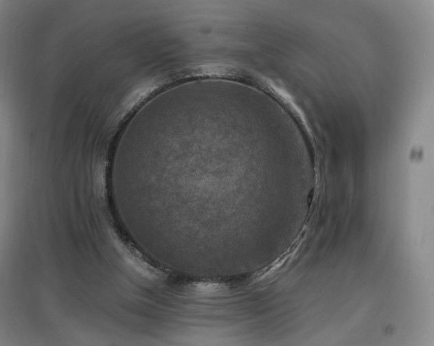 X0000097460154200802221221