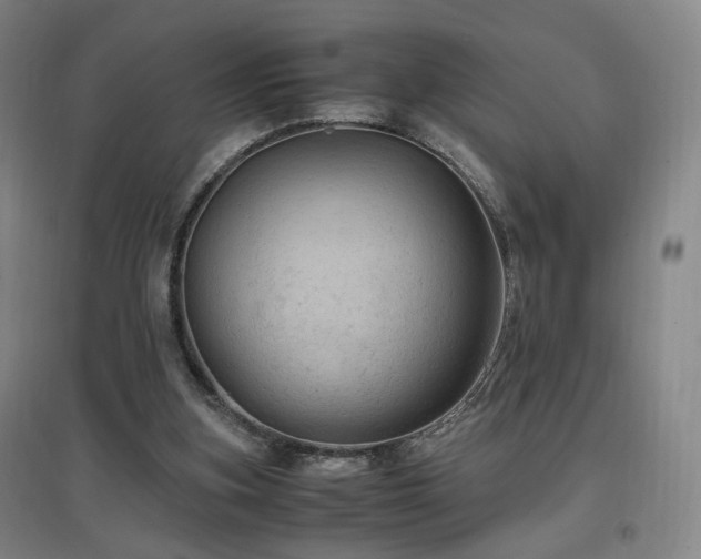 X0000097460155200802221221