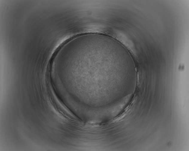 X0000097460156200802221221