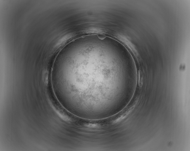 X0000097460157200802221221