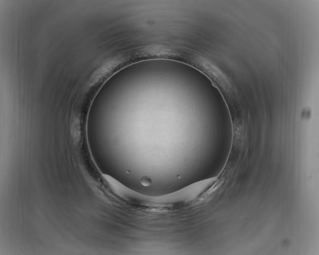 X0000097460158200802221221