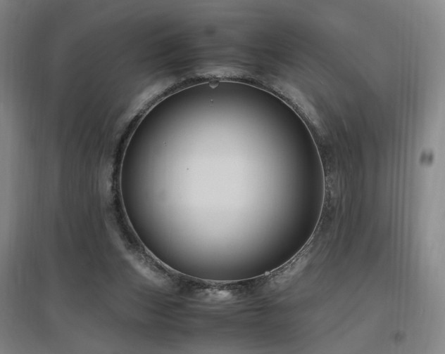 X0000097460159200802221221