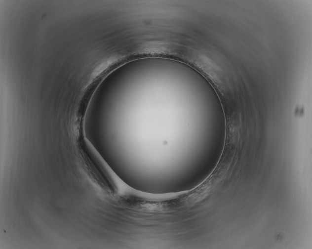 X0000097460160200802221221