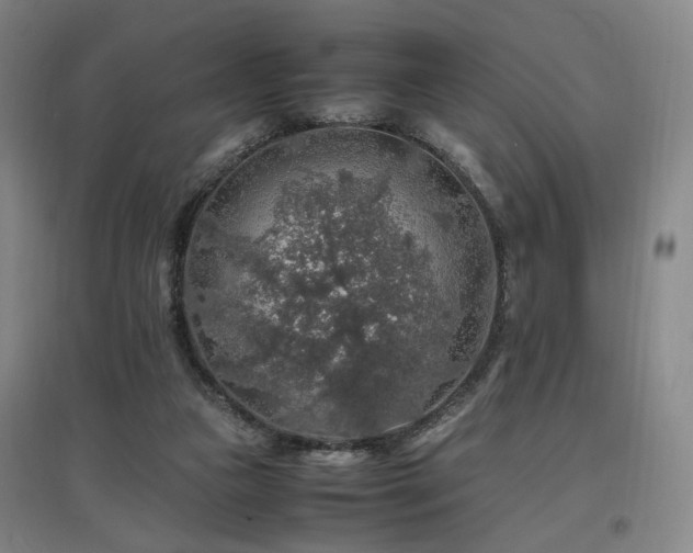 X0000097460161200802221221