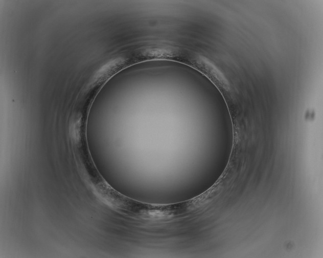 X0000097460163200802221221