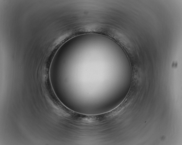X0000097460164200802221221
