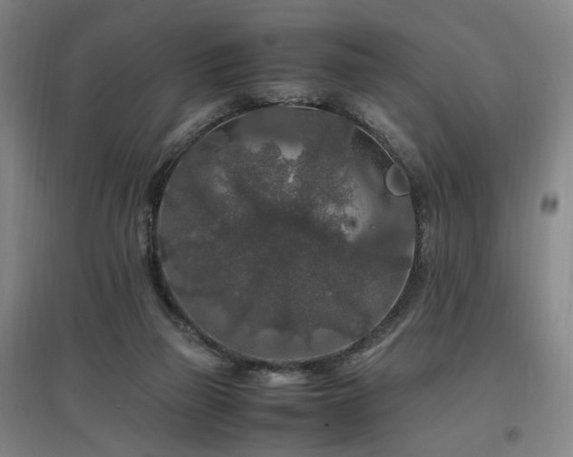 X0000097460165200802221221