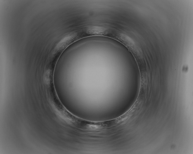 X0000097460167200802221221