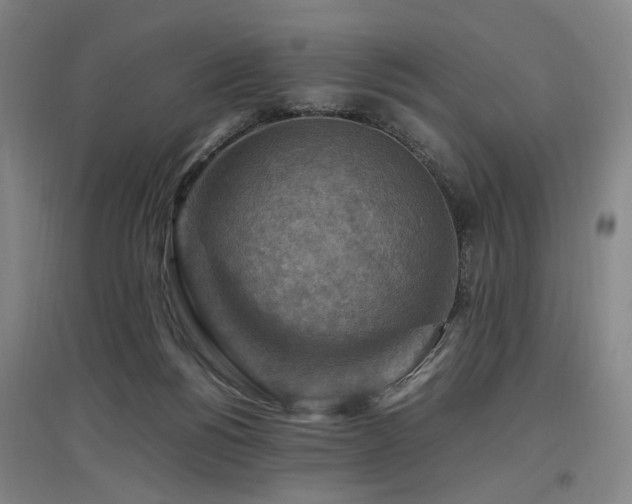X0000097460168200802221221