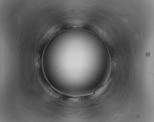 X0000097460170200802221221