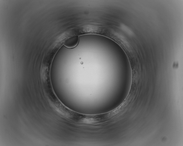 X0000097460171200802221221