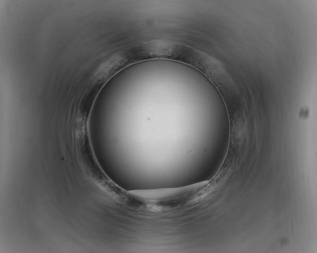 X0000097460172200802221221