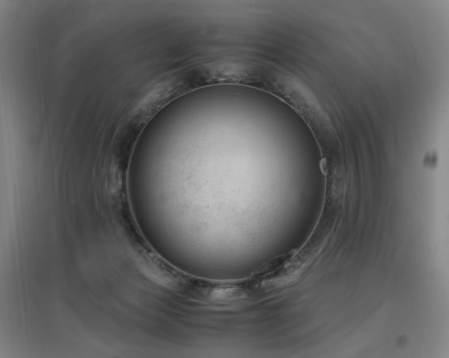 X0000097460173200802221221