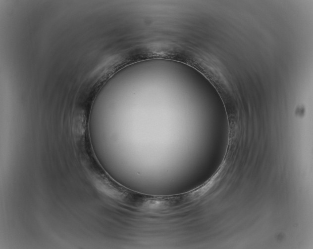 X0000097460174200802221222