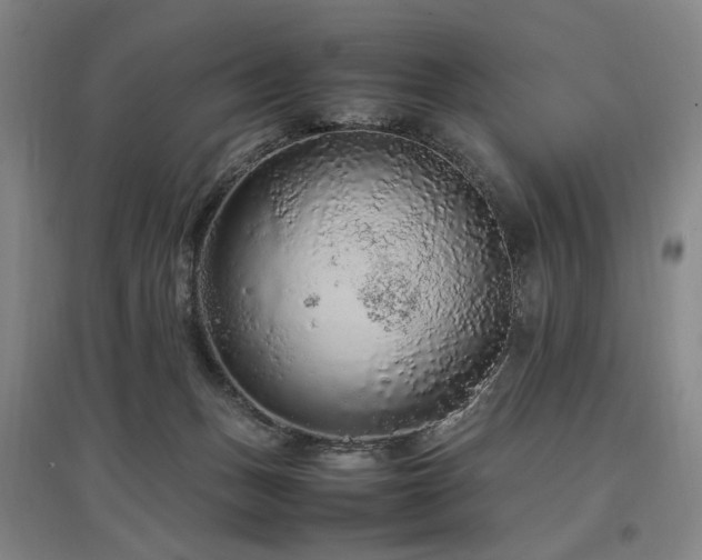 X0000097460175200802221222