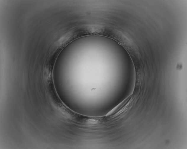 X0000097460176200802221222